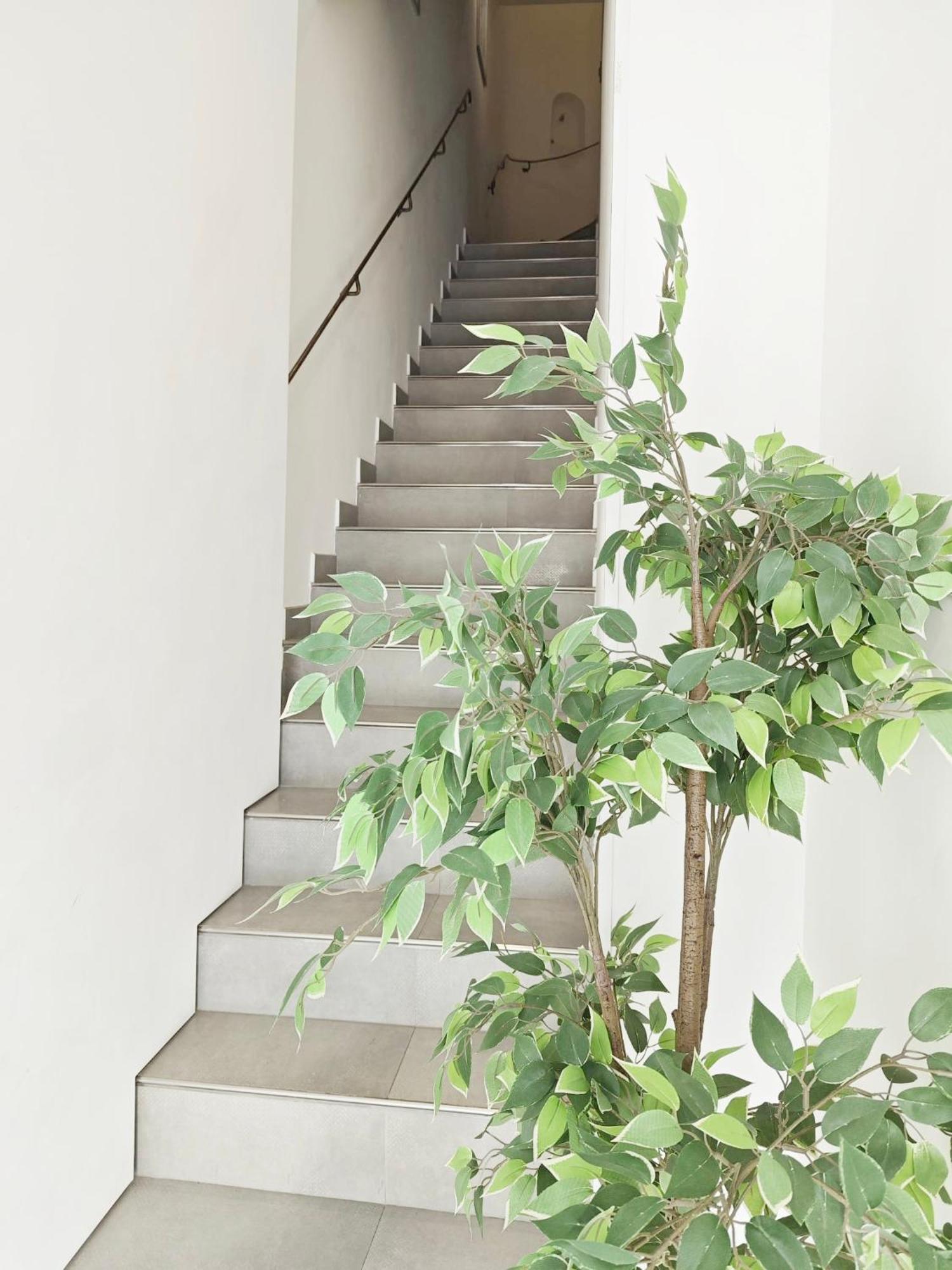 Cassis Loc - Chambre Meublee Exterior photo